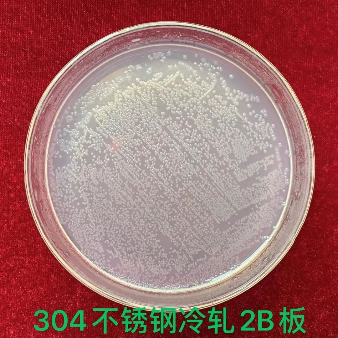 無錫不銹鋼板價(jià)格,201不銹鋼,無錫不銹鋼,304不銹鋼板,321不銹鋼板,316L不銹鋼板,無錫不銹鋼板 無錫不銹鋼板價(jià)格,201不銹鋼,無錫不銹鋼,304不銹鋼板,321不銹鋼板,316L不銹鋼板,無錫不銹鋼板